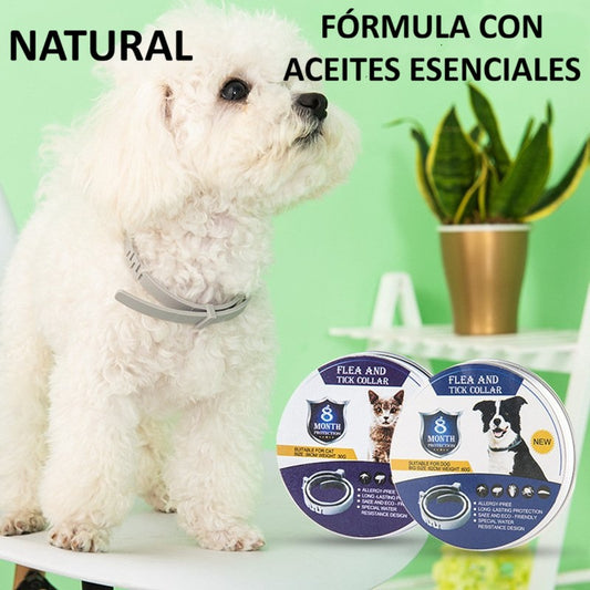 Collar PetShield – Antimosquitos y Antipulgas Ajustable para Perros y Gatos GD113