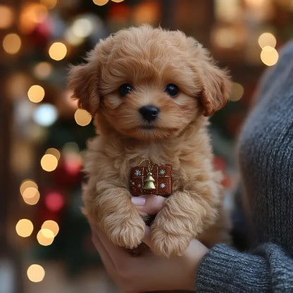 PRESENTAMOS A NICOO 2.0 – EL PERRITO ROBOT DEFINITIVO!