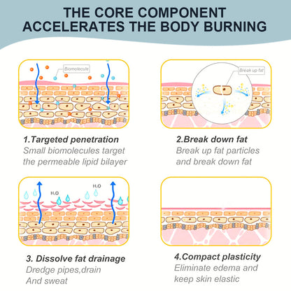 SLIMMING CREAM – TENDENCIA HOT DE REDUCCIÓN DE GRASA 2025 PARA MAYORES DE 45